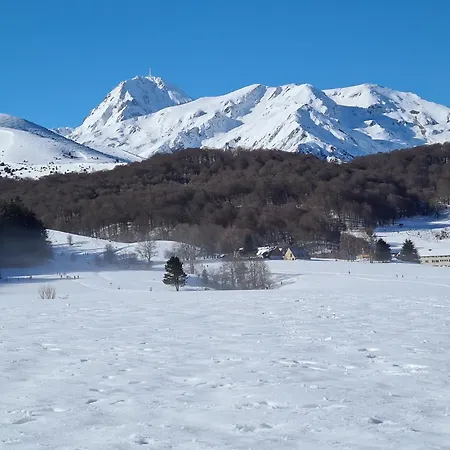 Ferienhaus Le Cocon Paisible