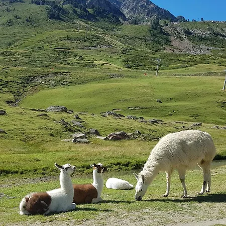Le Cocon Paisible * Asté